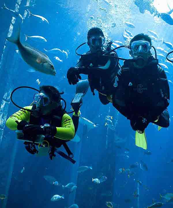 экскурсии в подводный мир фетхие