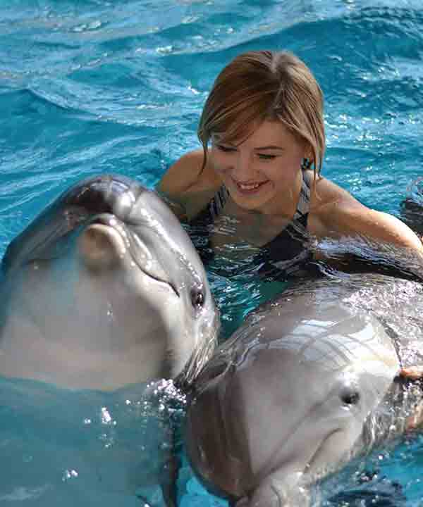 экскурсии в дельфинарий в кемере