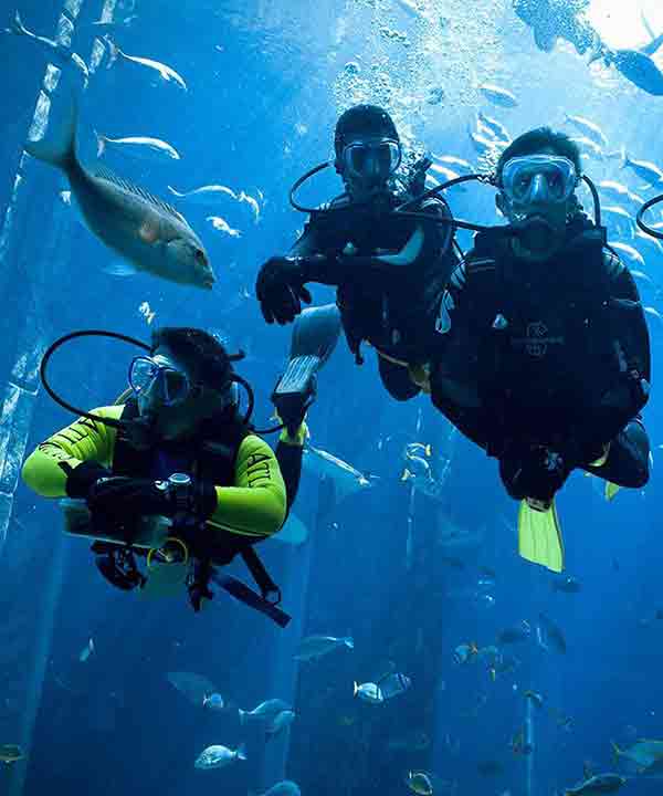 Best Antalya Activities: Diving