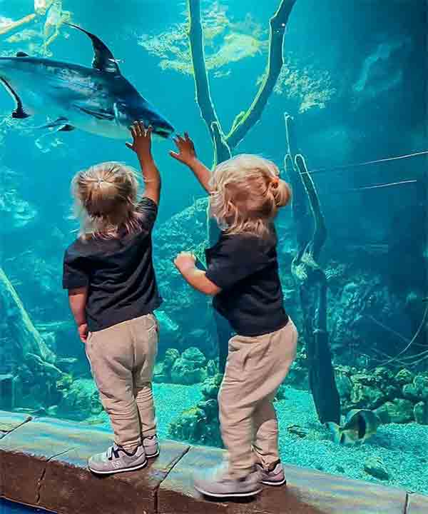 Best Antalya Activities: Oceanarium