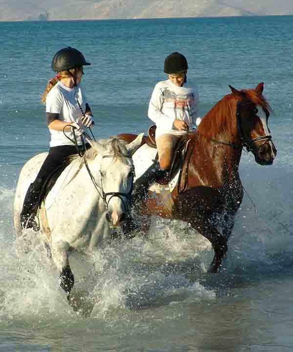 Best Antalya Activities: Horse Safari